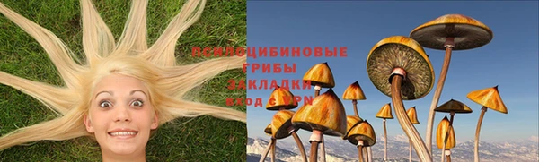 эйфоретик Верея