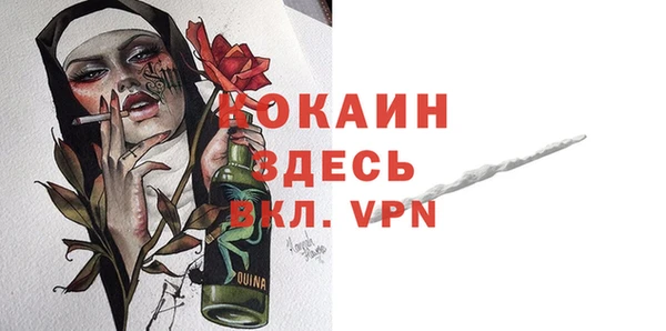 дживик Осинники
