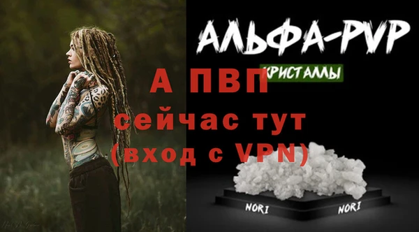 молекула духа Богородицк