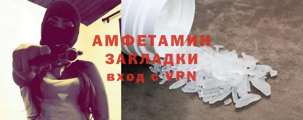 гидра Володарск