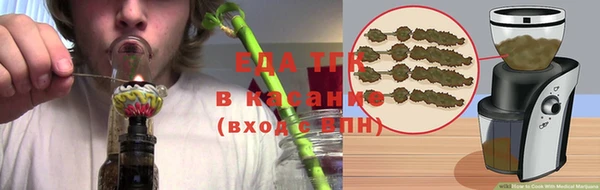 гидра Володарск