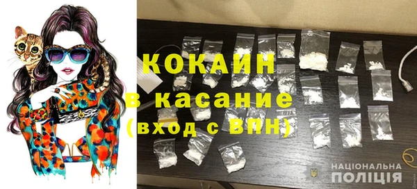 гидра Володарск